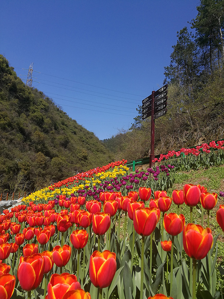 武当山快乐谷旅游区