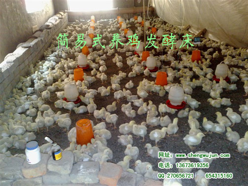 发酵鸡床