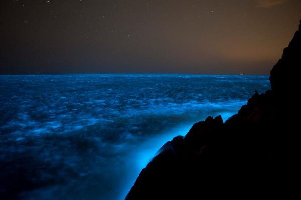  p data-id="gnwr7fc05h">海发光是指海面由于发光生物引起的发光现象