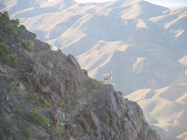  p>胜利峰就是天山第一高峰 a target="_blank"