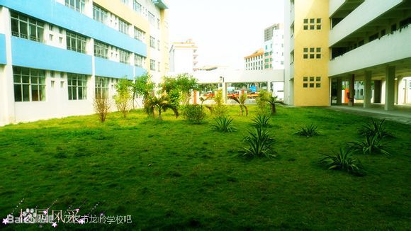 茂名市龙岭学校