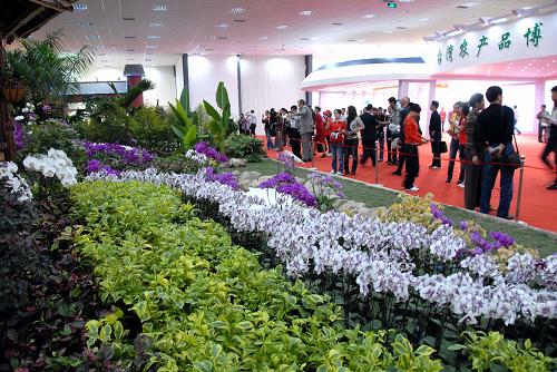第十届海峡两岸花卉博览会