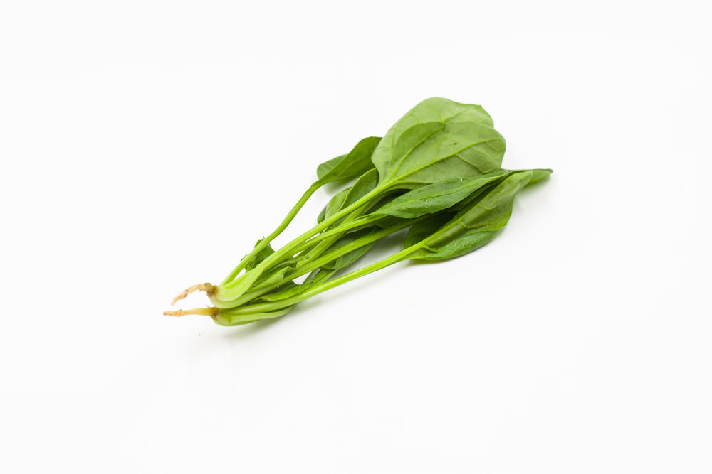 又名波斯菜,赤根菜,鹦鹉菜等,属藜科 a target="_blank" href="/item