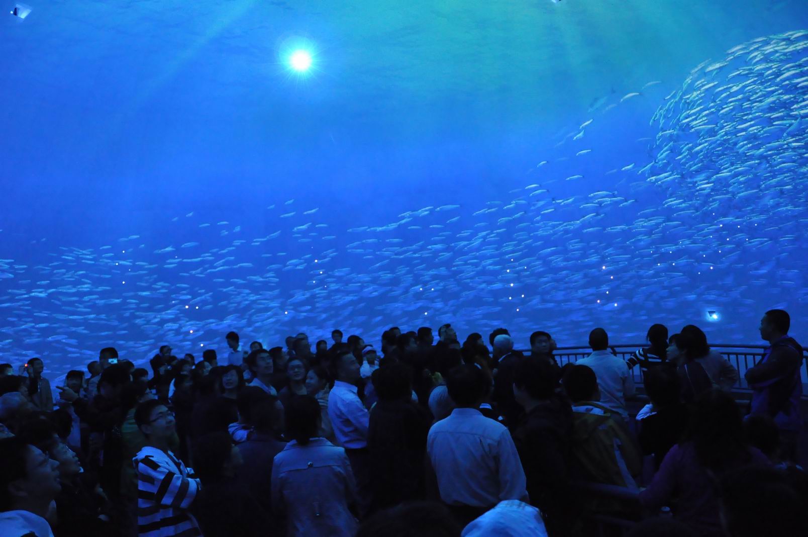 烟台水族馆图片