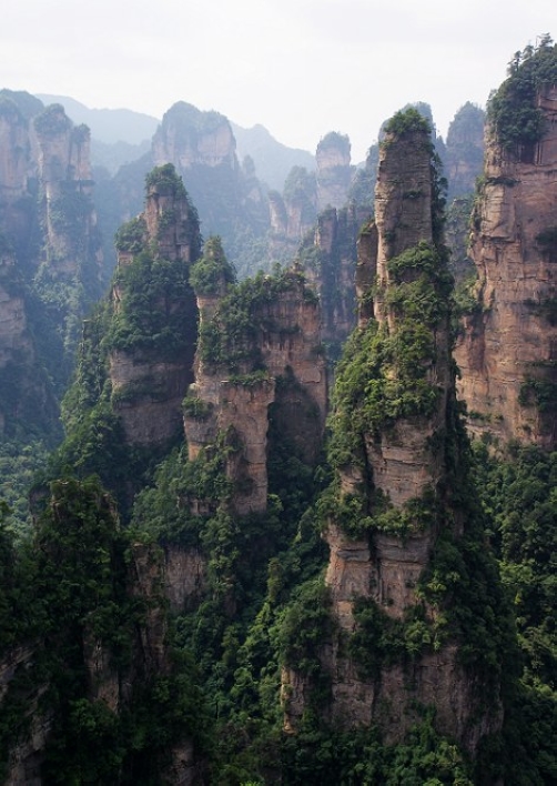 张家界国家森林公园