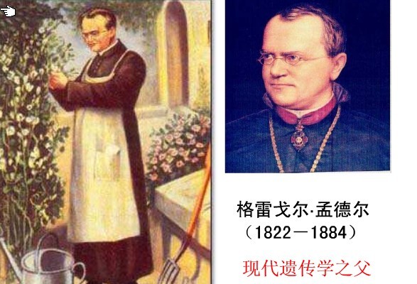  p>格雷戈尔·孟德尔(gregor johann mendel, i>1822年7月20日-1884年