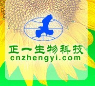 正一生物科技有限公司