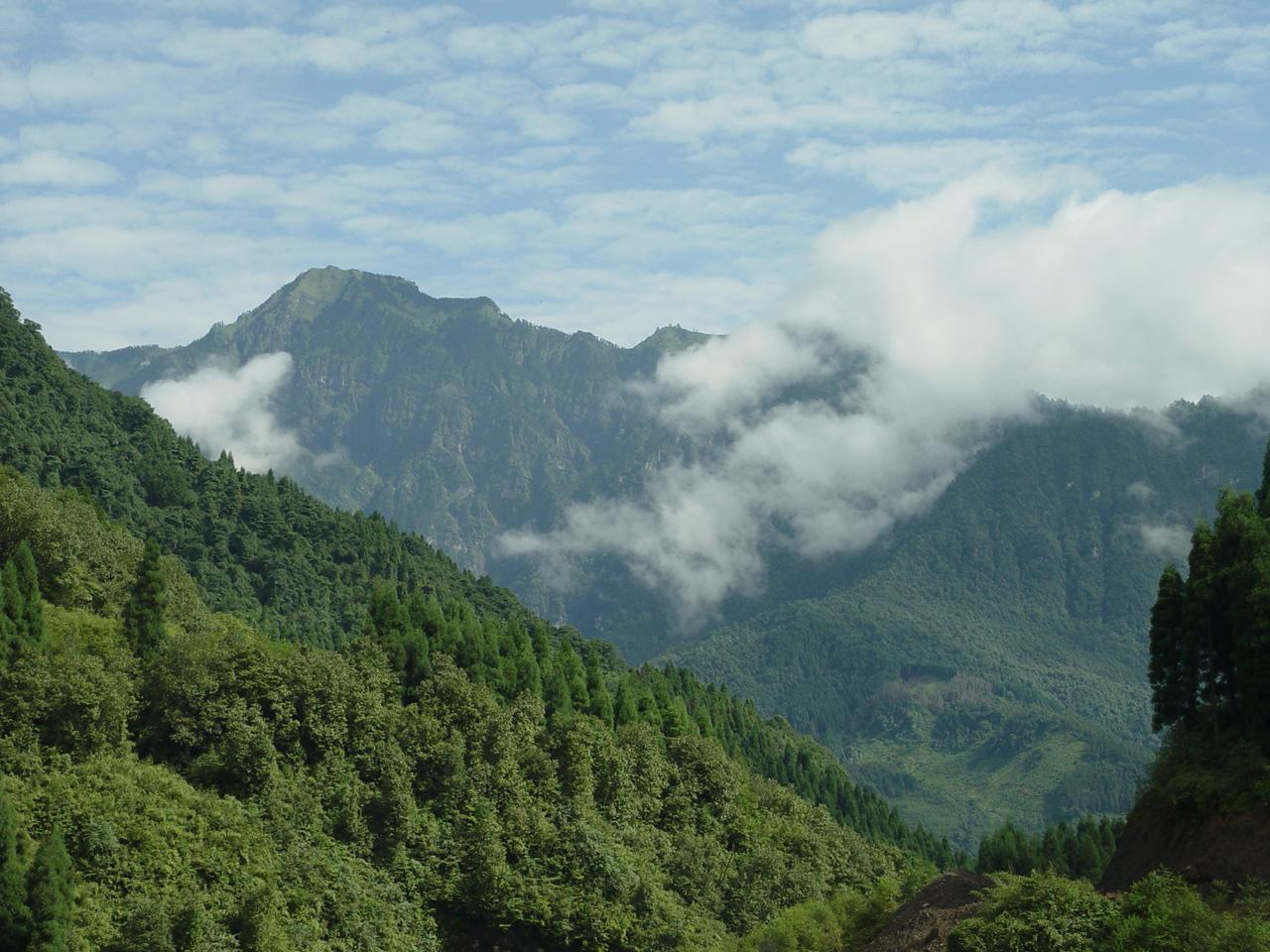鸡冠山森林公园