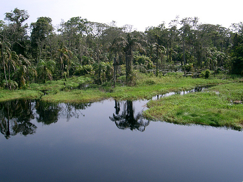  p>刚果盆地(英语:congo basin; a target="_blank" href="/item/斯瓦