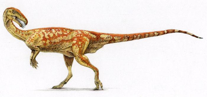  p data-id="gnbx4xhl5p">诺弗勒恶龙(masiakasaurus knopfleri) 发现