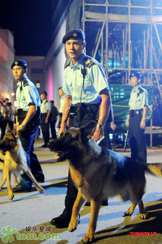  p>《老友狗狗》是2008年 a href="#" data-lemmaid="7051877">香港