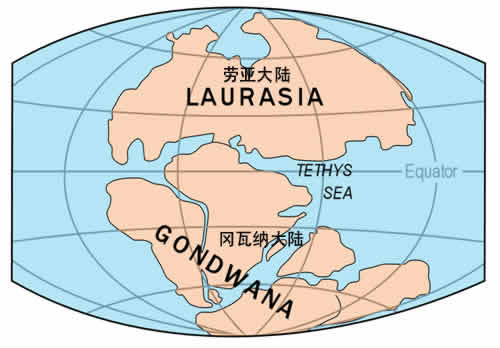  p>冈瓦纳古陆(冈瓦纳大陆),是一个推测存在于南半球的古大陆,也称