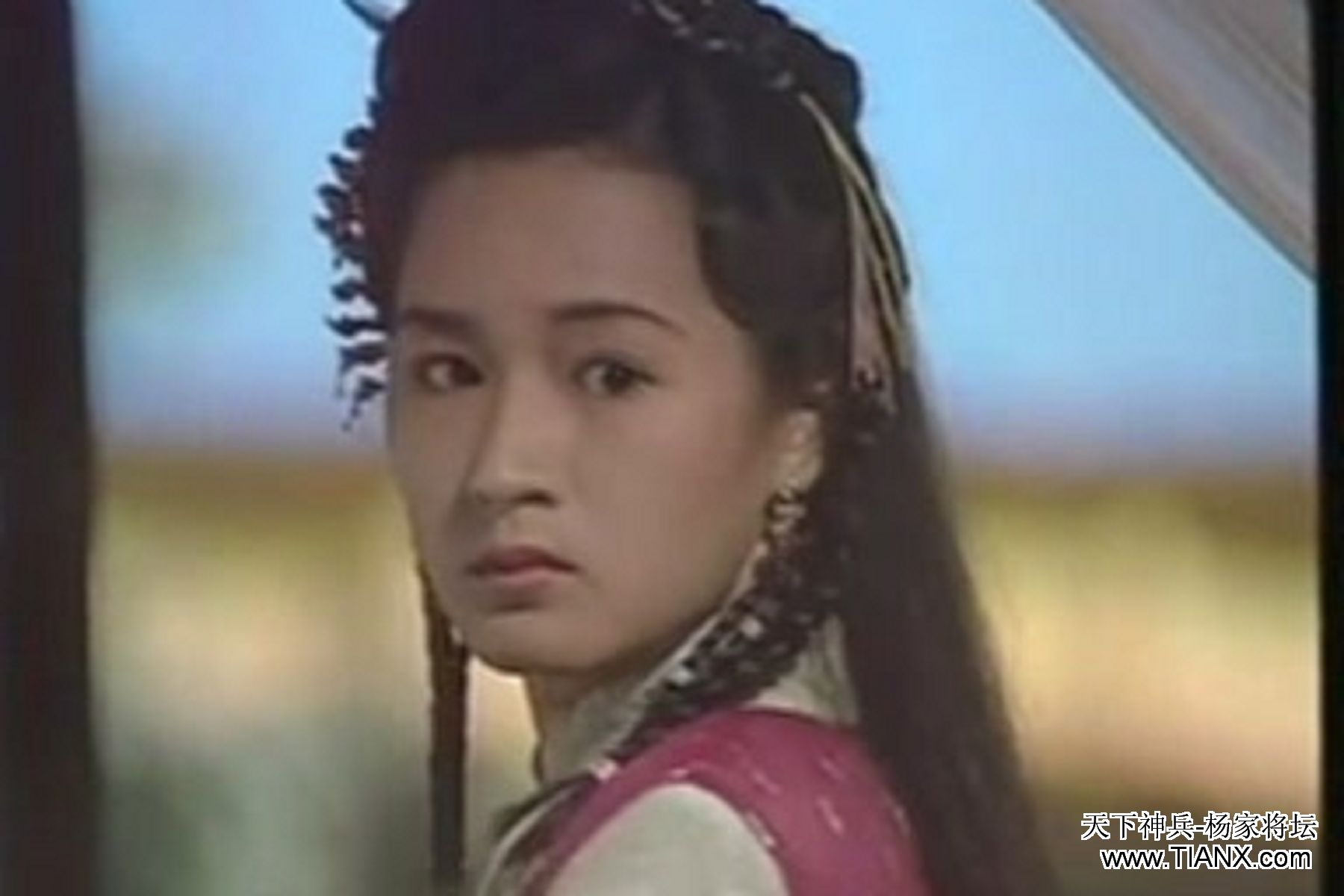 碧血青天杨家将