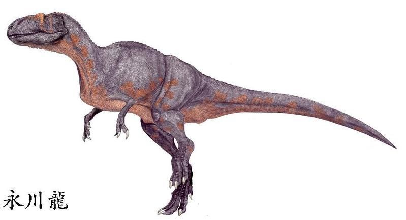 永川龙(yangchuanosaurus)
