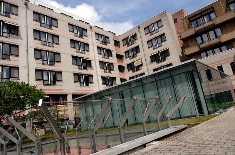  p> span class="ref" data-ctrid="tewv1bqli5qg">荷语鲁汶大学 