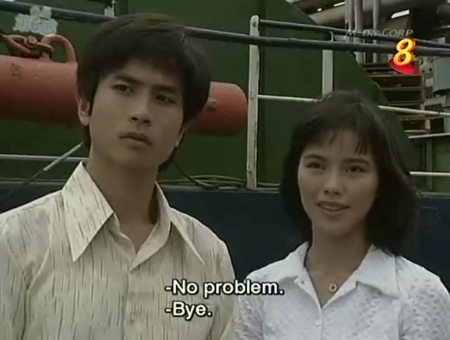 《潮州家族》(t,he teochew family)是新加坡电视机构(今新传媒私人