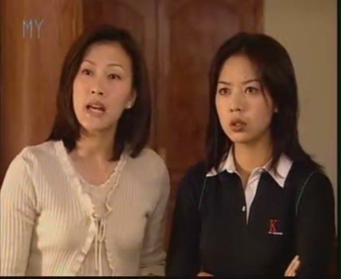  p>《鉴证实录》是一部由 a href="#" data-lemmaid="1932830">潘嘉德