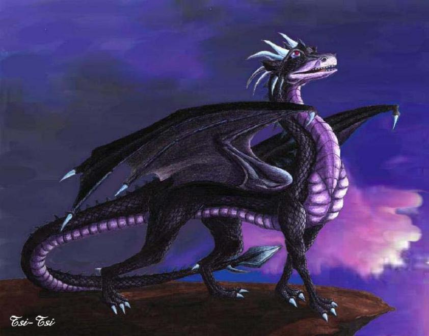 赫希底里群岛黑龙