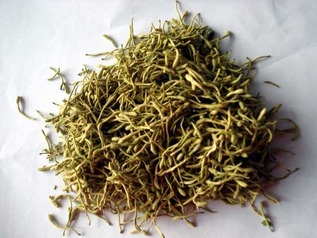 金银花茶