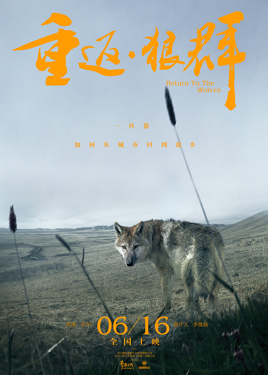 重返·狼群