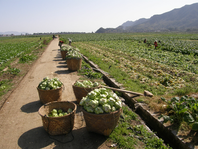 宁德霞浦哪个寺庙超度婴儿的简单介绍