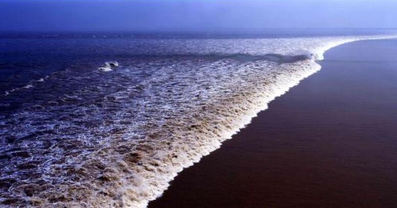  p> a href="#" data-lemmaid="1219955">海宁潮 /a>是一个壮观无比的