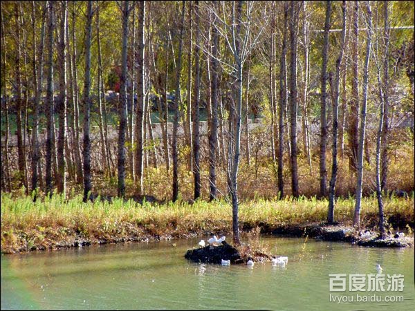  p data-id="gnyxa40ktb">玛瑙湖位于内蒙古巴彦淖尔市乌拉特后旗巴音