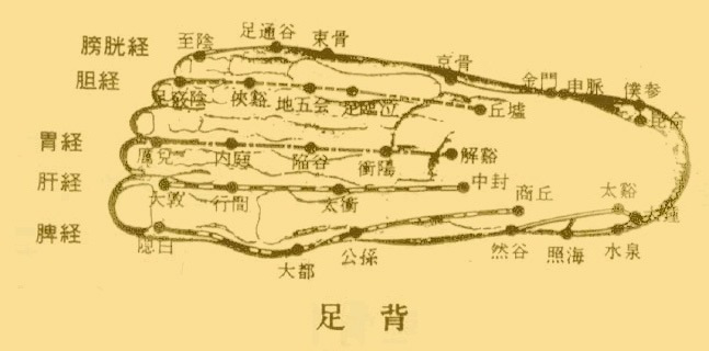 公孙穴_百度百科