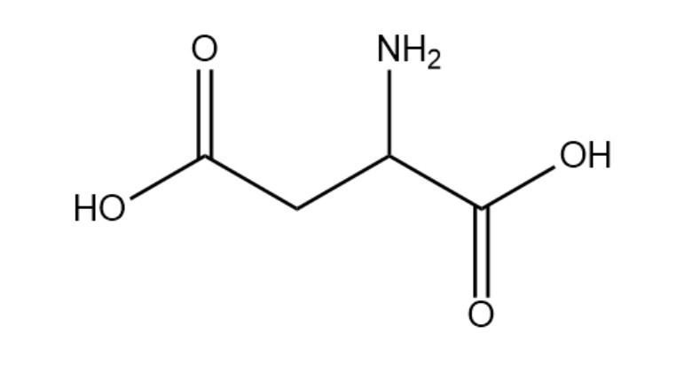 门冬氨酸