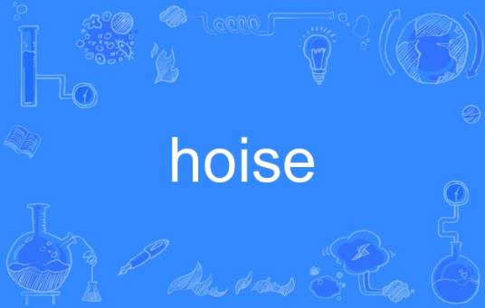 hoise_百度百科