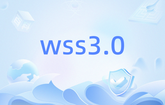 wss3.0_百度百科