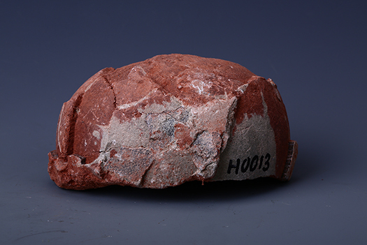 白垩纪恐龙蛋化石