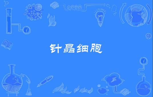 针晶细胞_百度百科