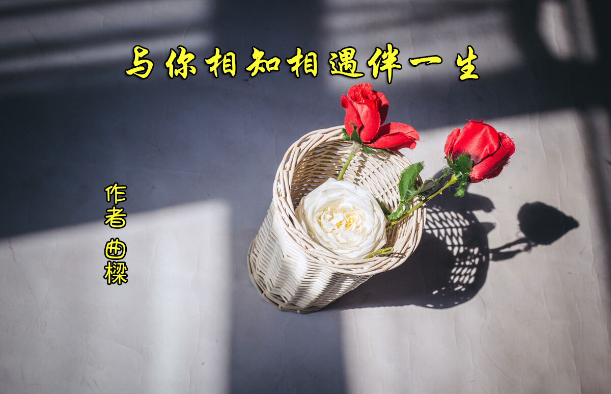 与你相遇相知相伴一生