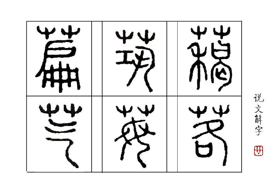 识汉字：原来这种最不像葱的葱，是佛家弟子所说的“五荤”之一_百科TA说