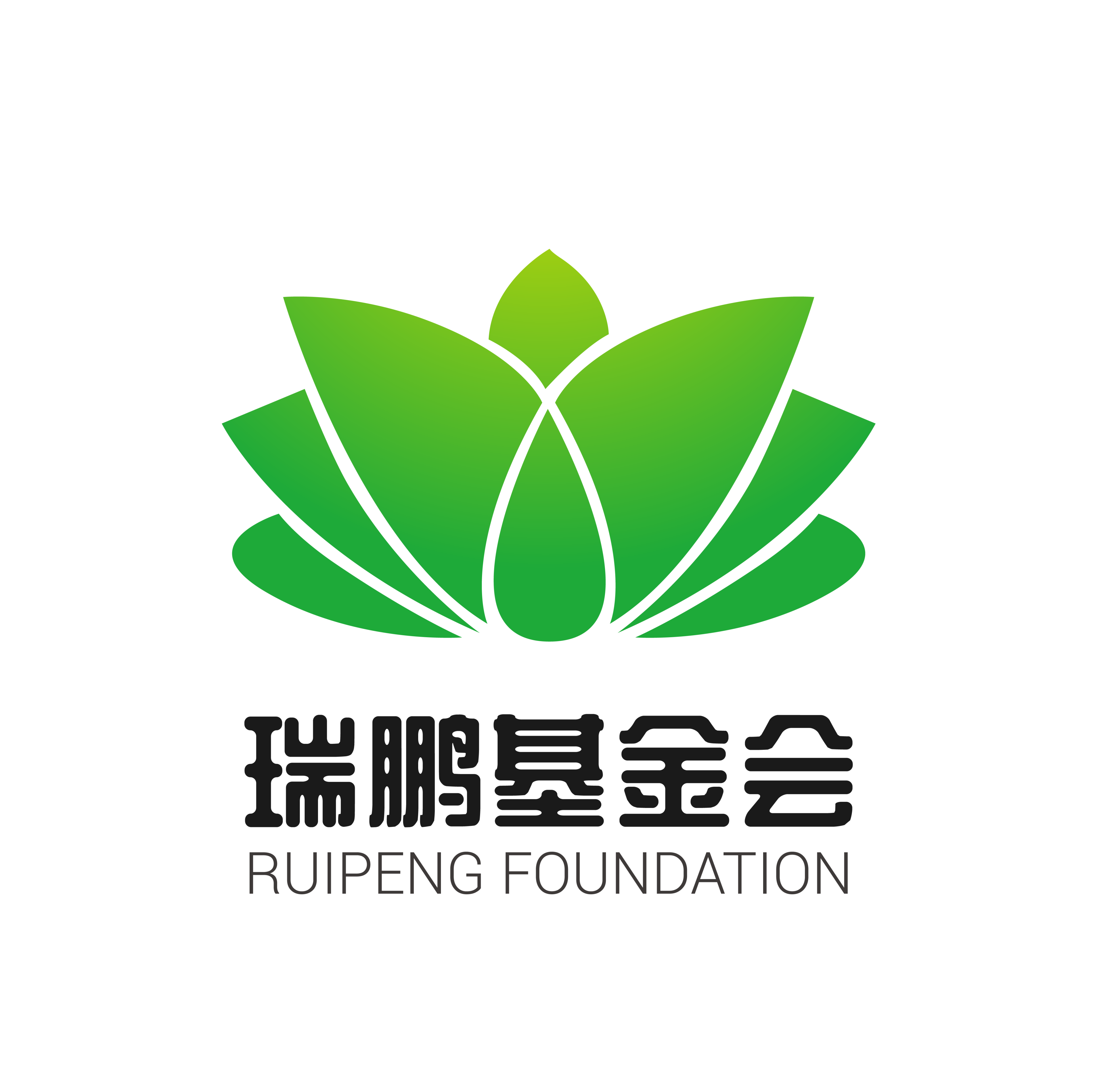 深圳市瑞鹏公益基金会