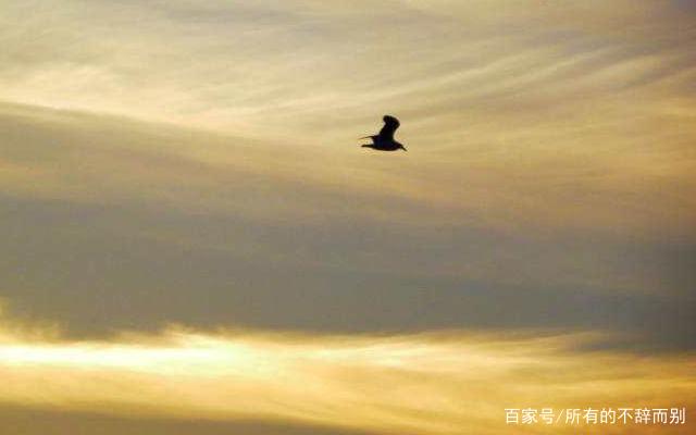 身为九五至尊的他，珍宝信手拈来，真的会为了一书法真迹而设计？_百科TA说
