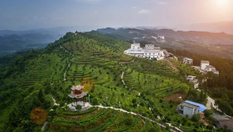 data-id="gnz82vnu0g">南坪乡,隶属于湖北省恩施土家族苗族自治州利川