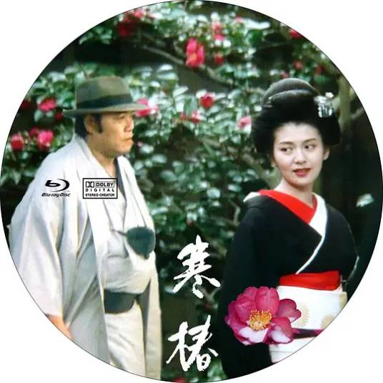 寒椿