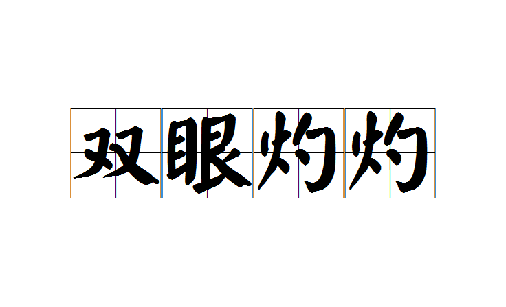 汉语成语,拼音是shuāng yǎn zhuó zhuó,意思是眼睛明亮有神,炯炯