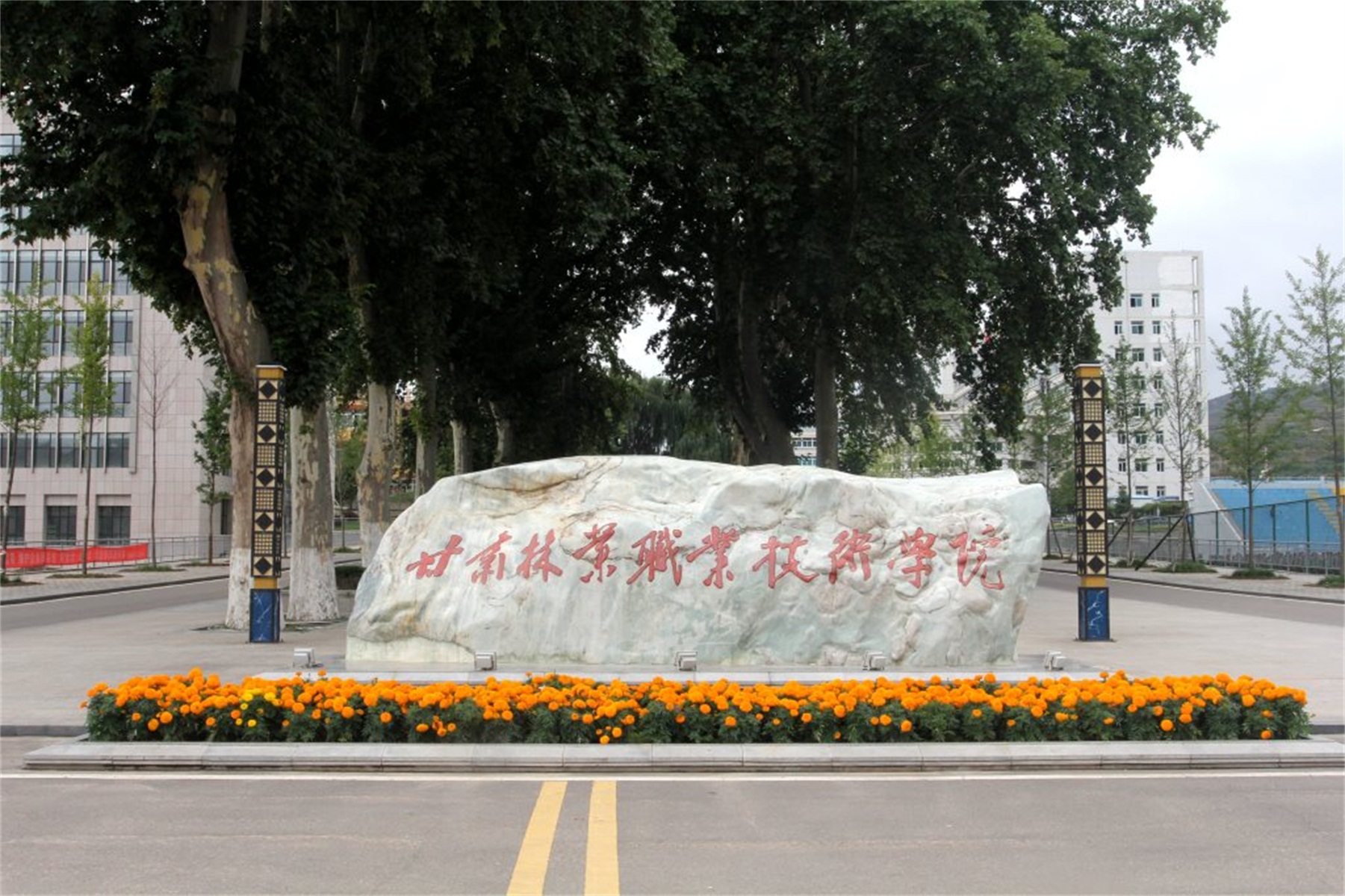  p>甘肃林业职业技术学院(gansu forestry technological  college)