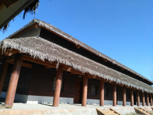 偃师遗址