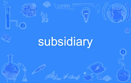 subsidiary_百度百科