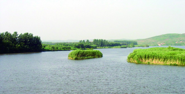 沭河古道湿地公园
