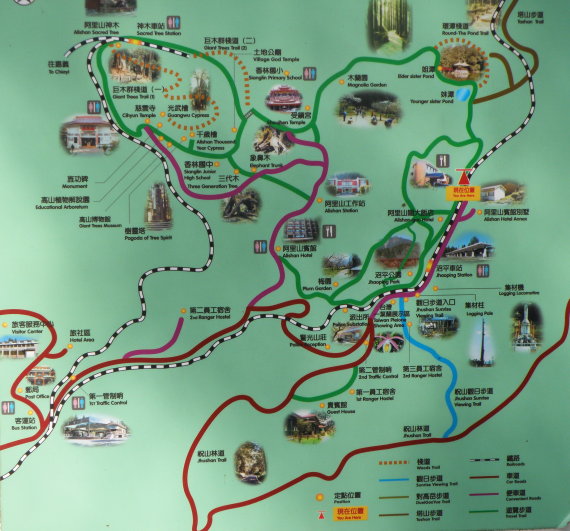 阿里山森林游乐区