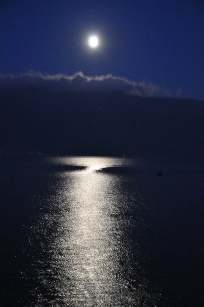 洱海月