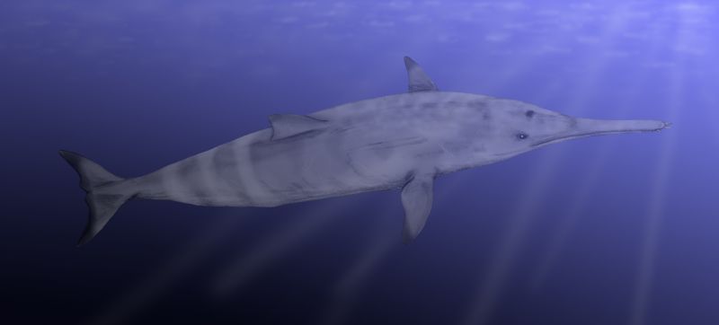  p data-id="gnwhf2q9ww">鲛齿鲸(学名squalodon),又名原鲛鲸或鲨齿鲸