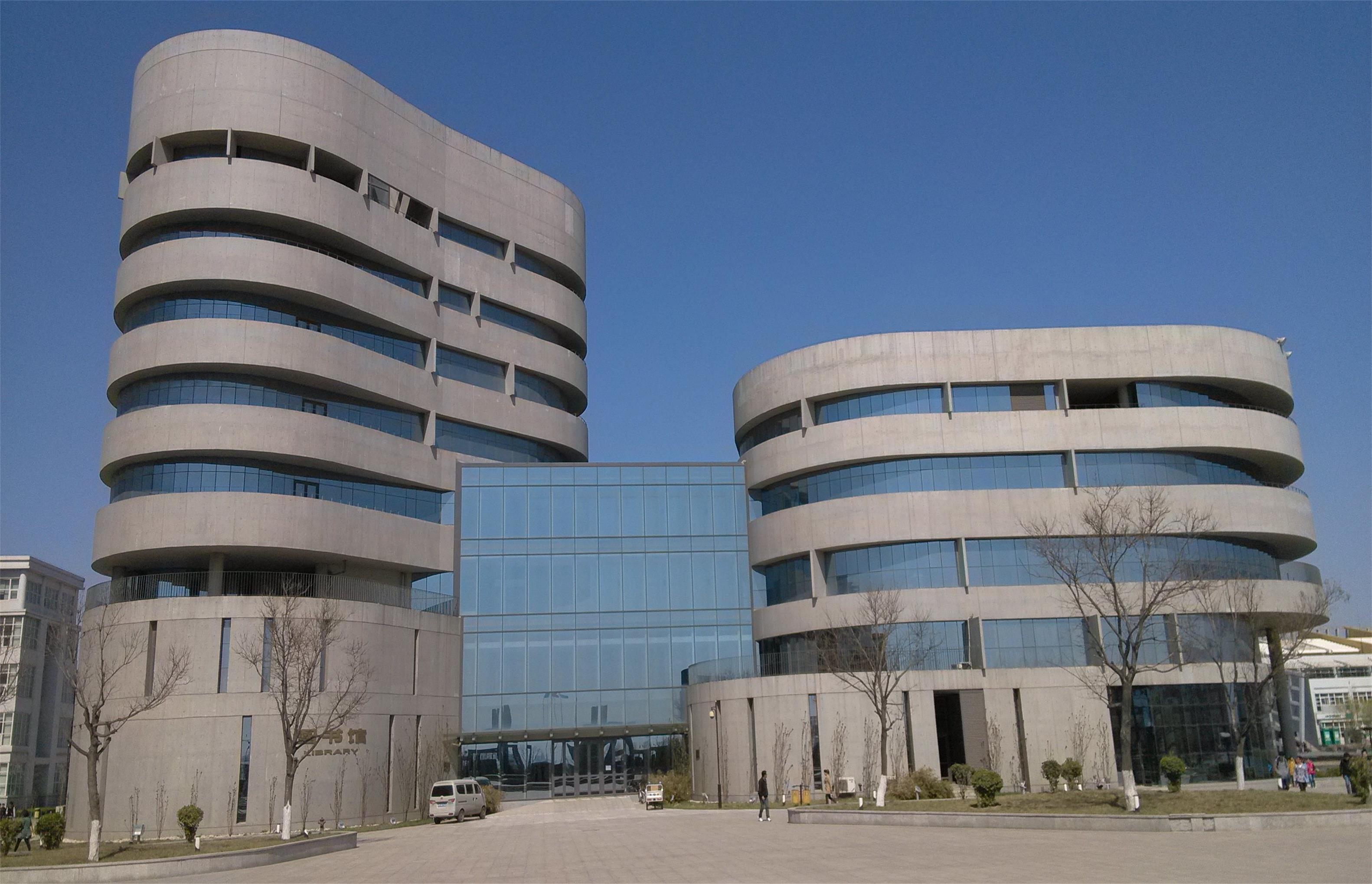 经教育部批准,2006年由天津大学与天津市仁爱集团有限