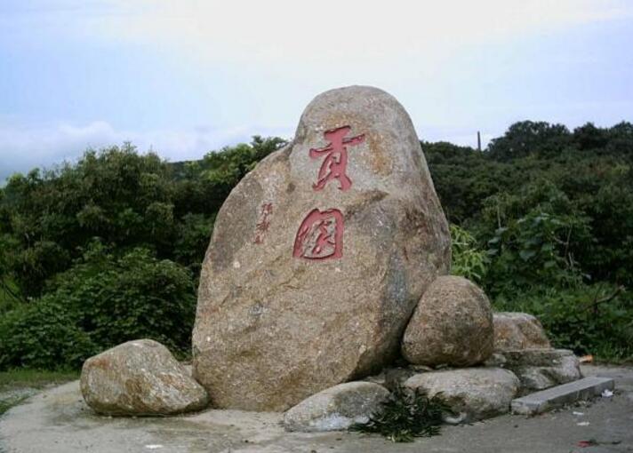 根子荔枝文化旅游区