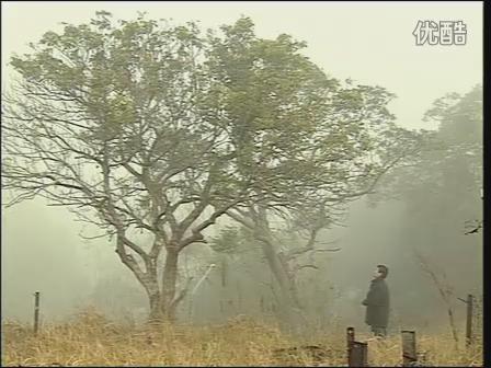  p data-id="go083cf1z3">《大时代2世纪之战》是香港亚洲本港台出品